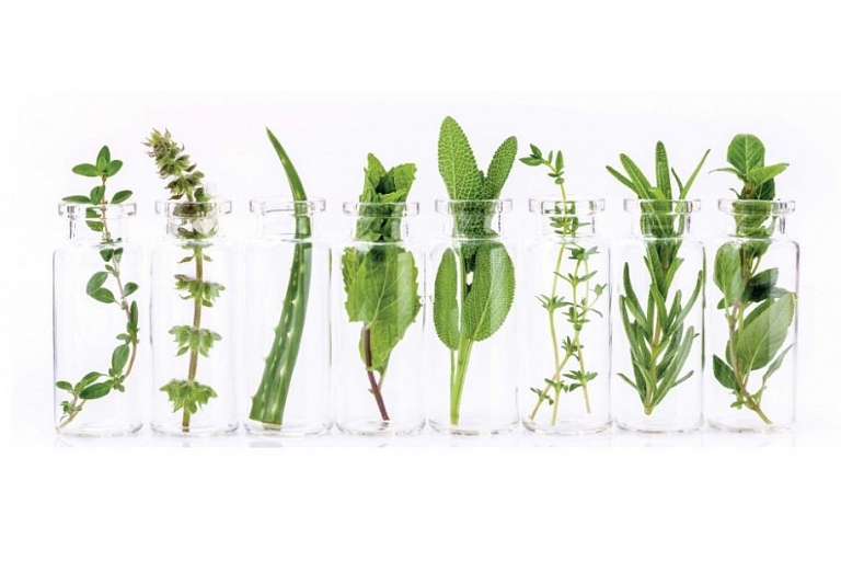 Alternative medicine, homeopathy
