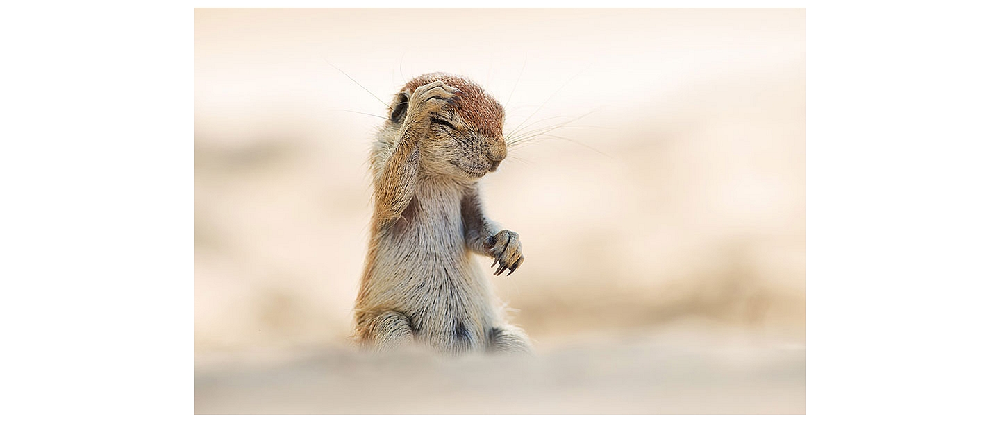 attālinātas konsultācijas