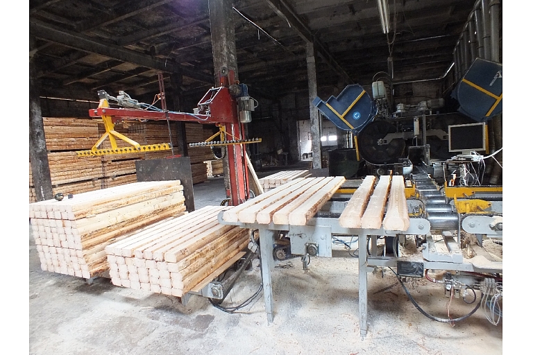 Timber processing automation trading designing Cesis