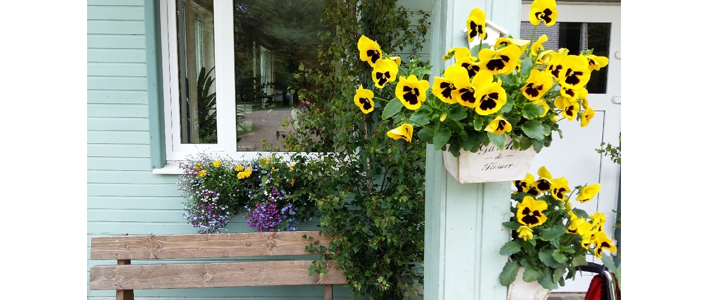 Recreation center "Vetch"