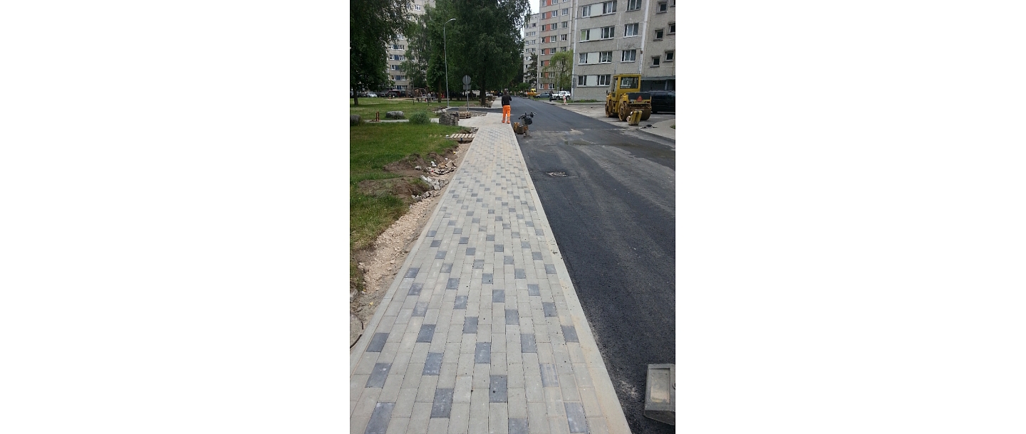 Pļaušana, pļaušanas darbi, lapu savākšana, aizvešana.