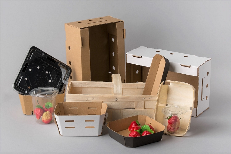 multipack berry dish boxes