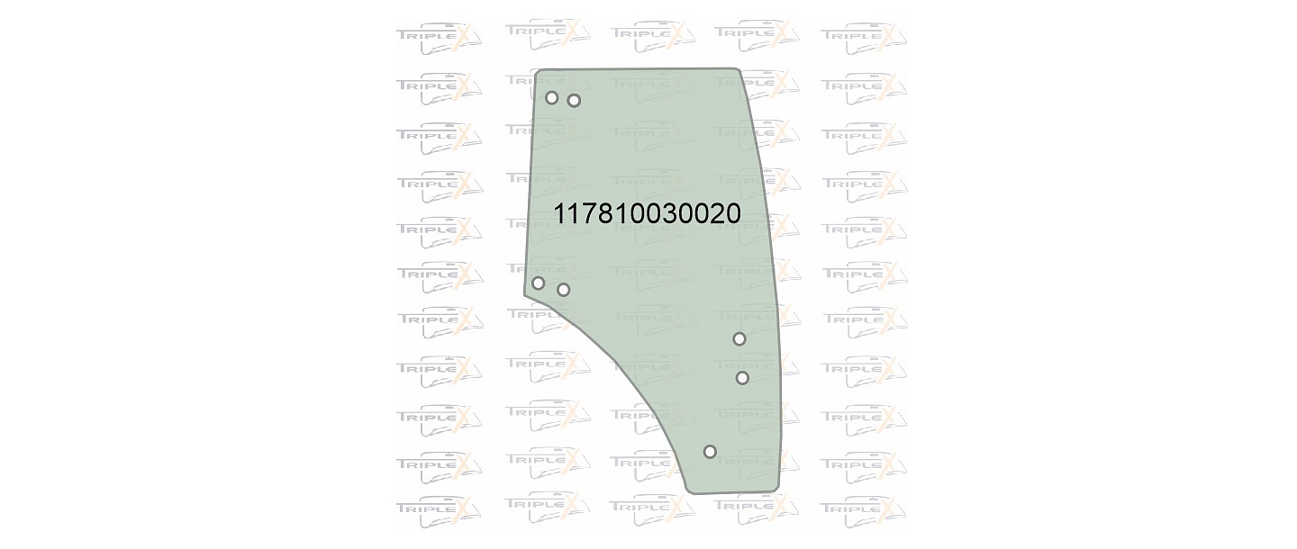 117810030020