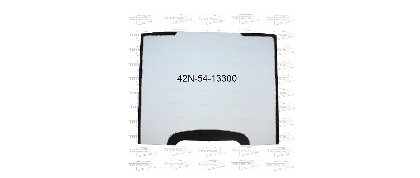 42N-54-13300