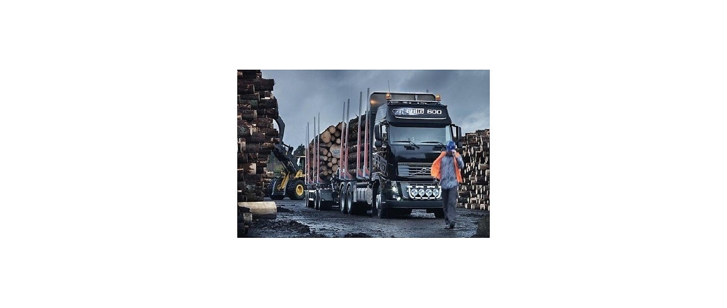 Loggers in Madona, Daugavlici