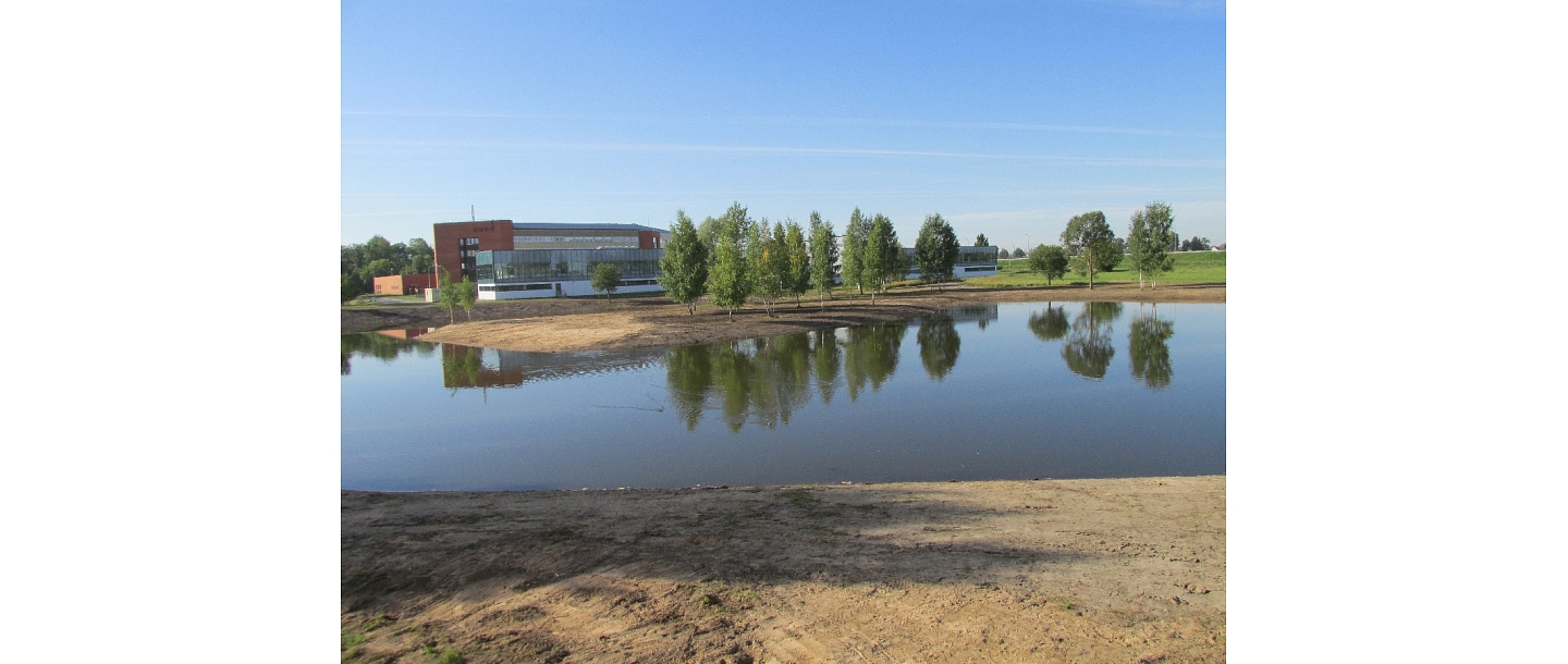 Pond excavation costs MTE