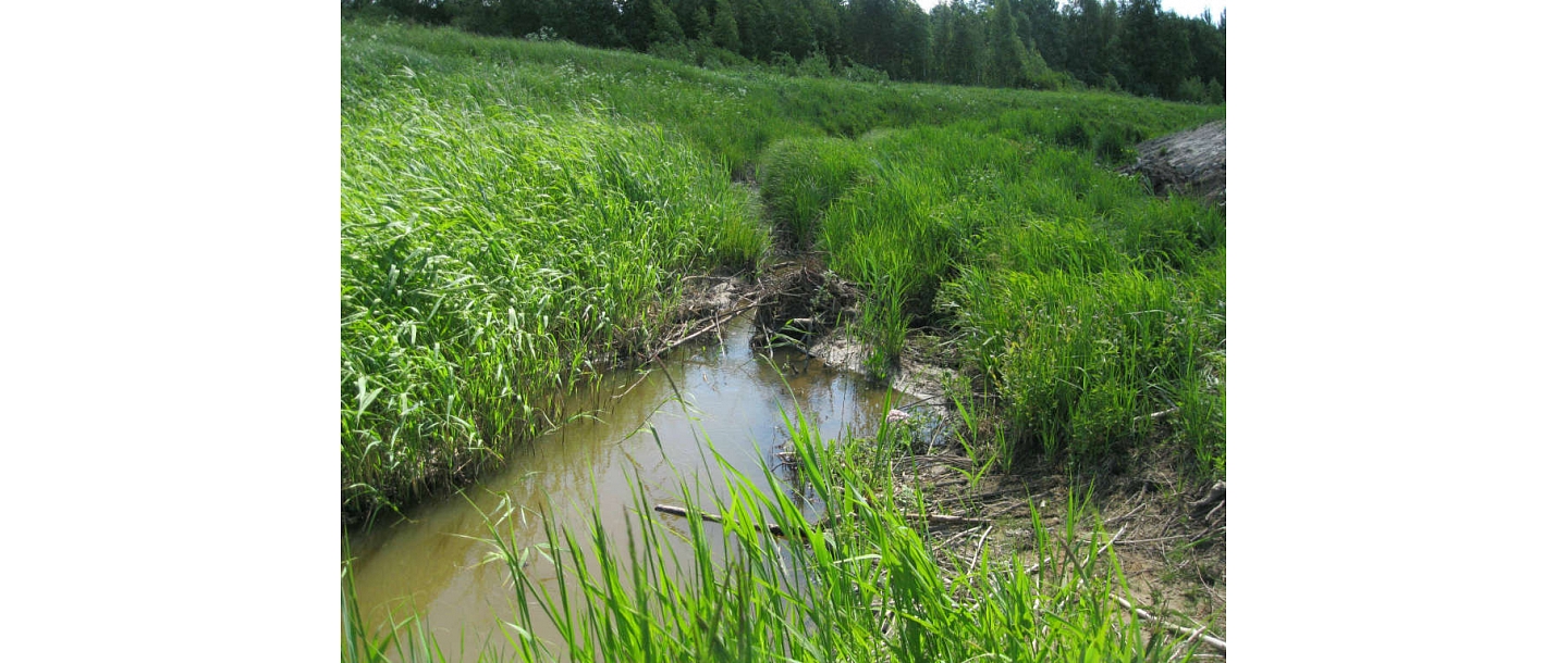 Ремонт водостоков Скальде