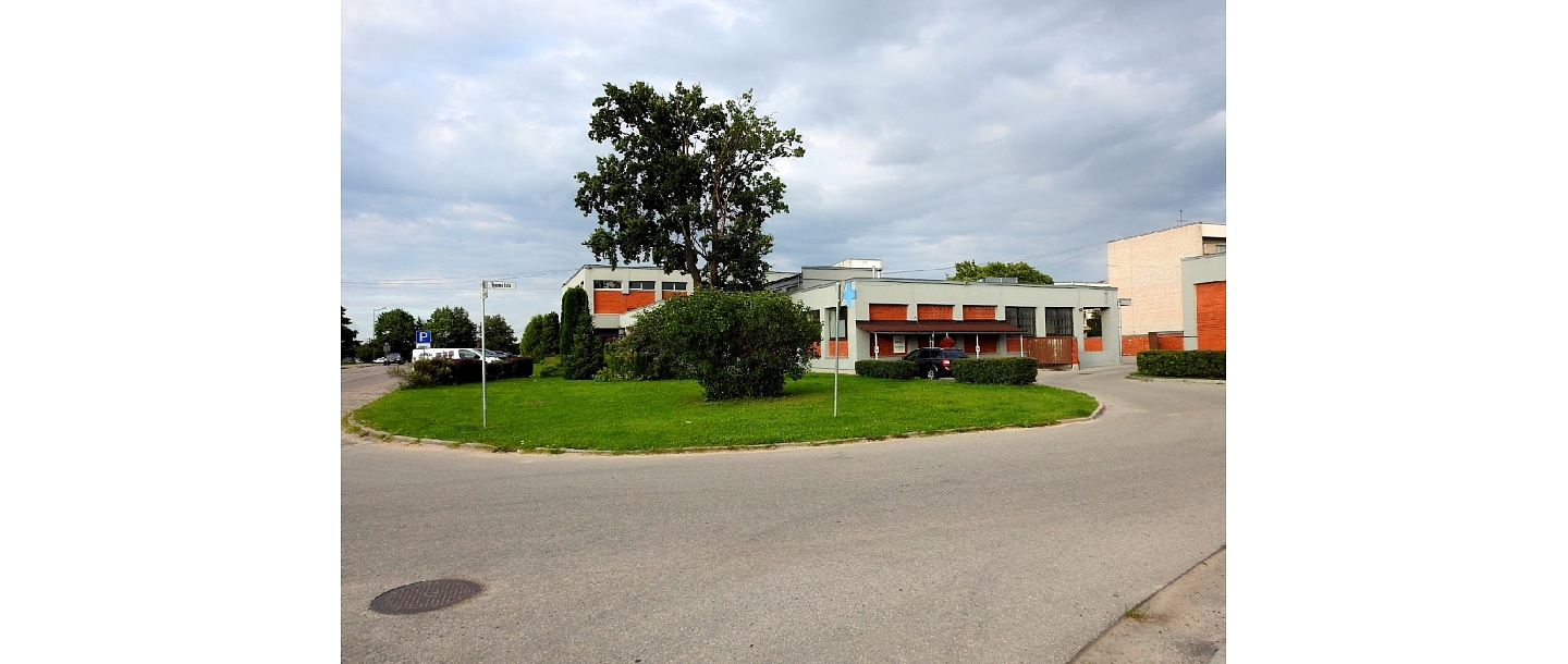 Veterinarian services in Ķekava