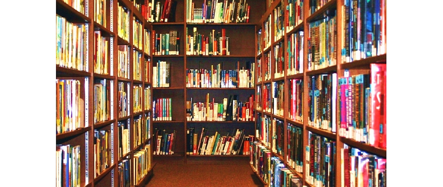 Библиотека округа Мадонна