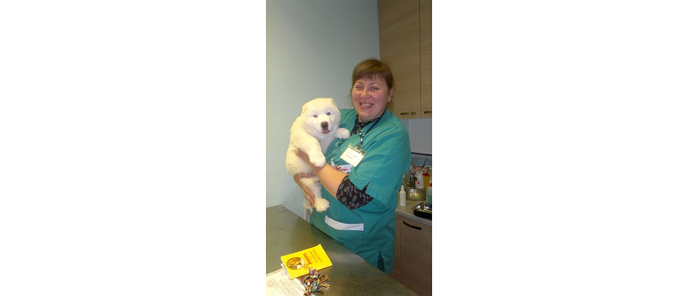 Veterinary clinic. Vaccination