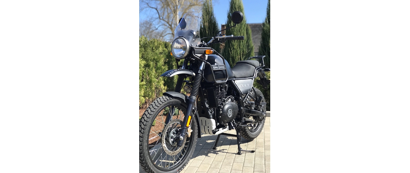 Himalayan