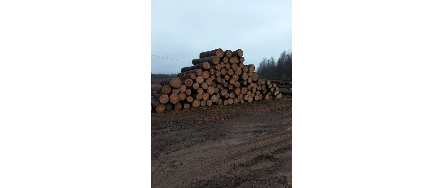 Sale of timber materials