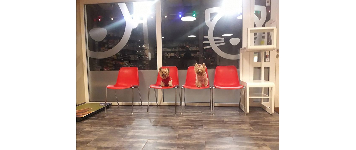 GROBINA VETERINARY CLINIC