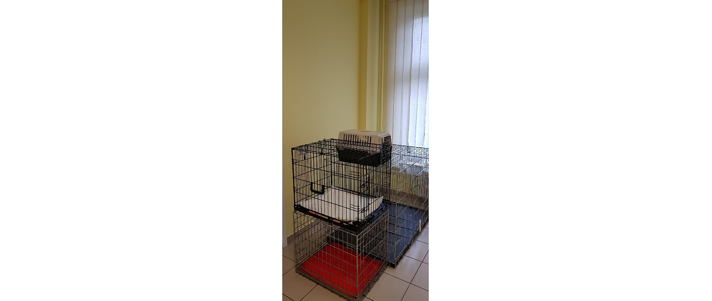 Клетки для животных