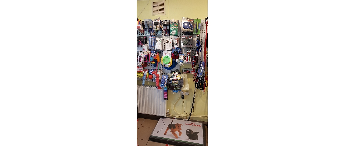 Dzīvnieku rotaļlietas