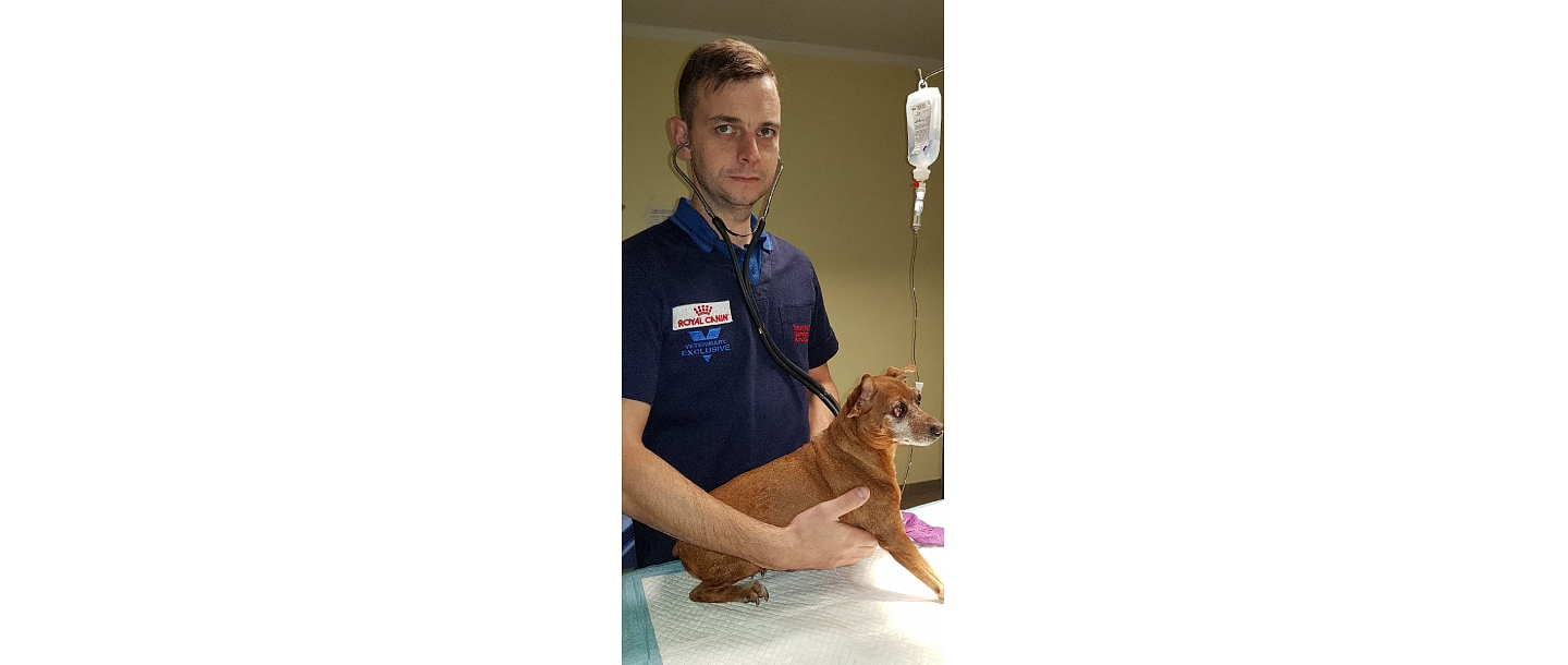 Dr. Konstantin Krivoguzov, a surgeon with extensive experience