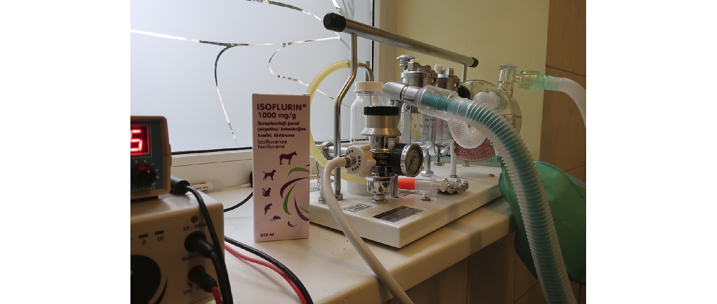 Рентген для животных