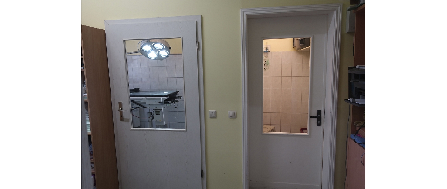 Стоматология животных