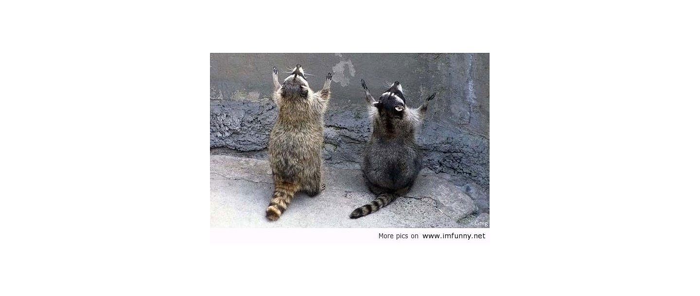 домашние визиты по вызову