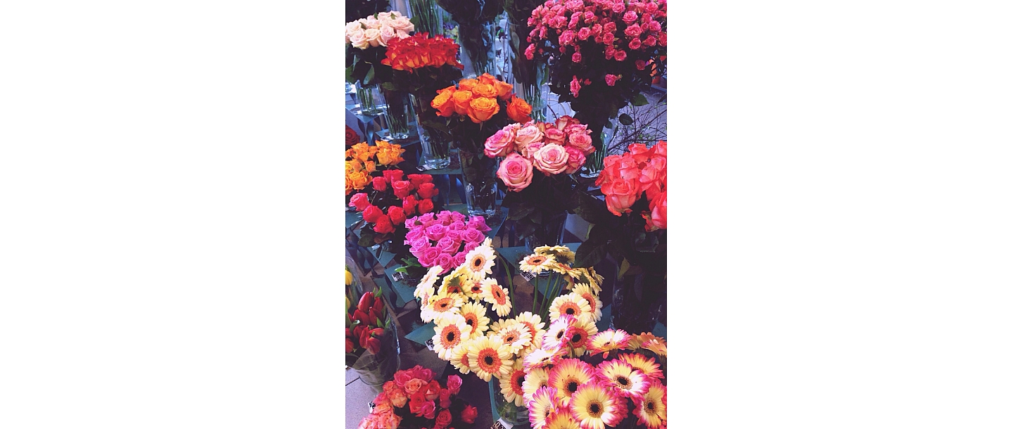Dadzis, flower salon 