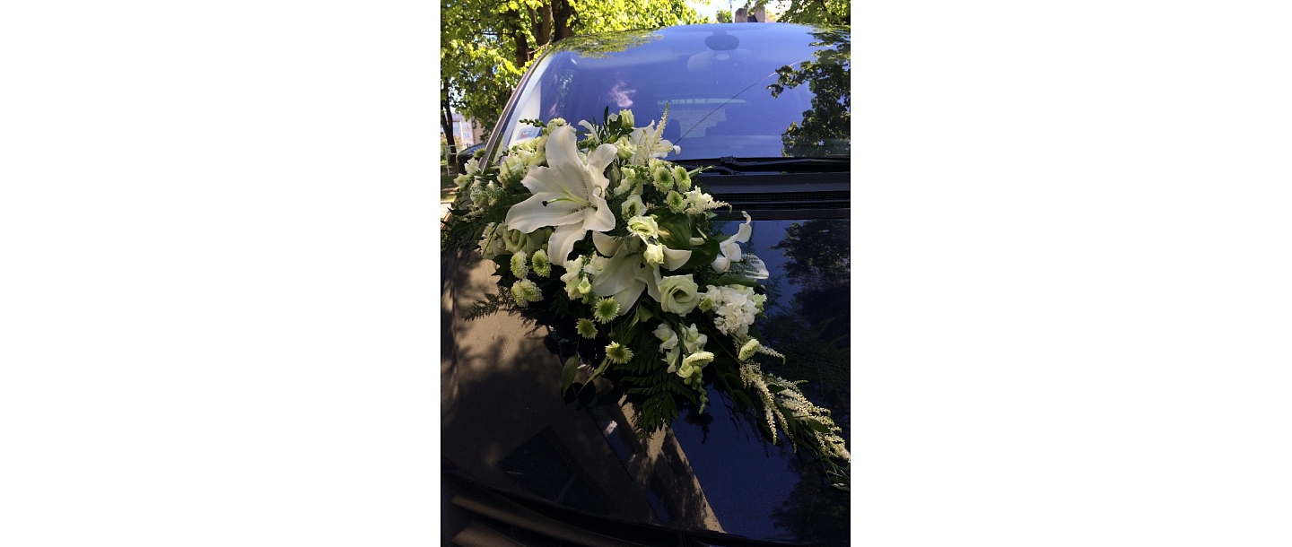 Dadzis, flower salon 
