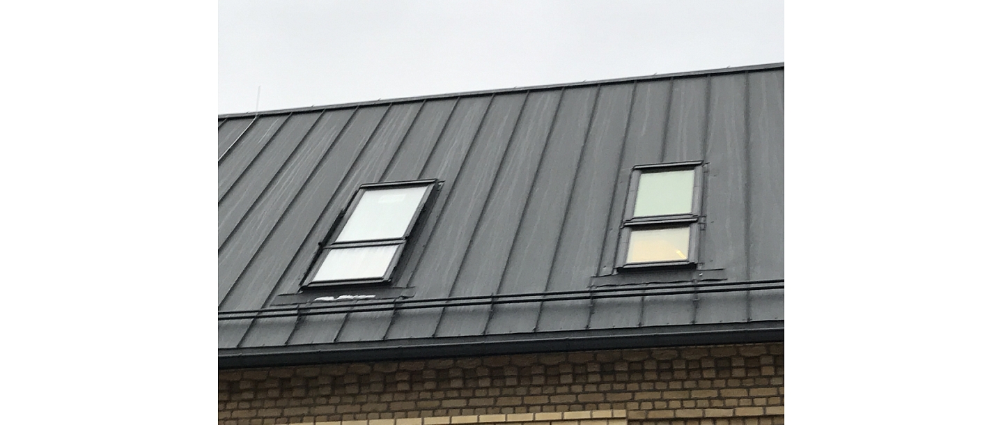 Velux jumta logi
