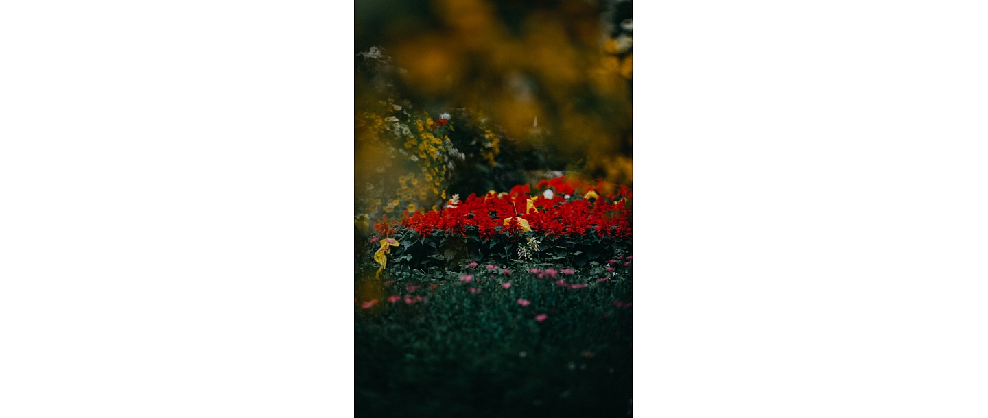 Floristika