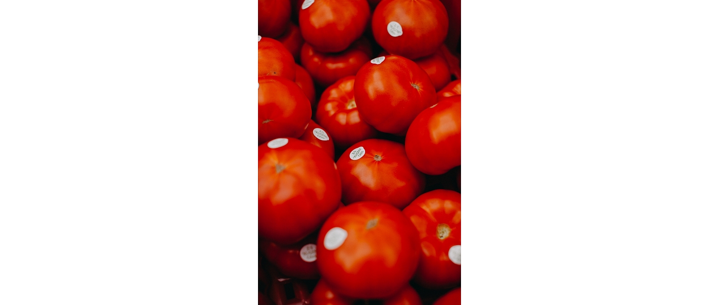 Tomato growing