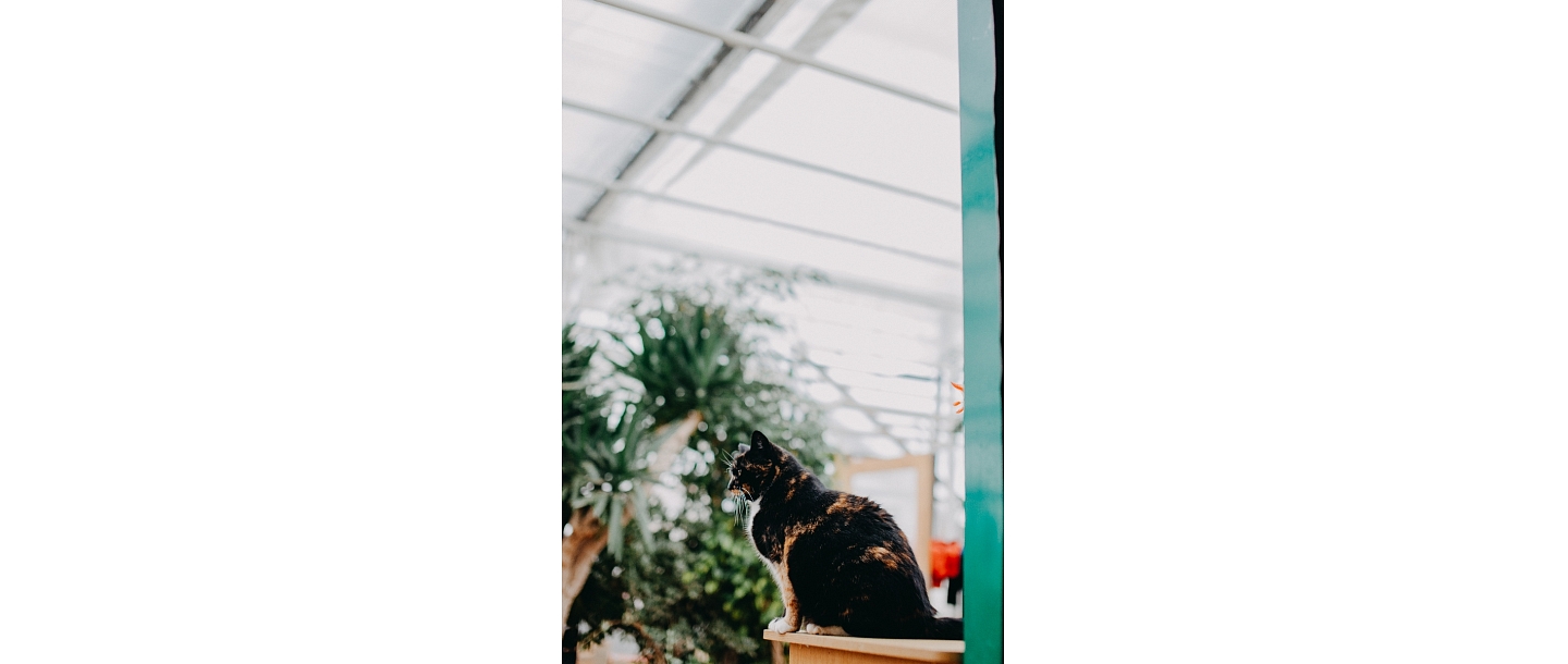 Florist