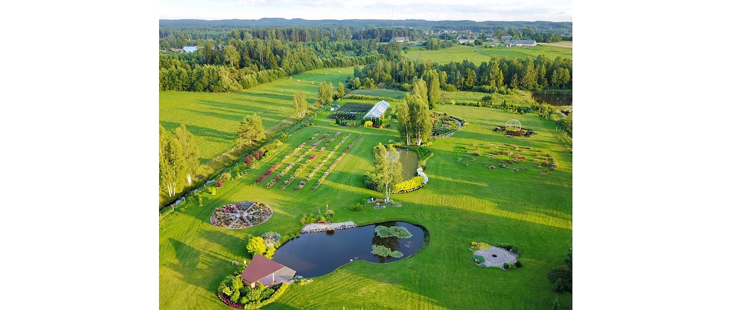 Просторный розарий сверху – Дайла Розес в Тукумском районе