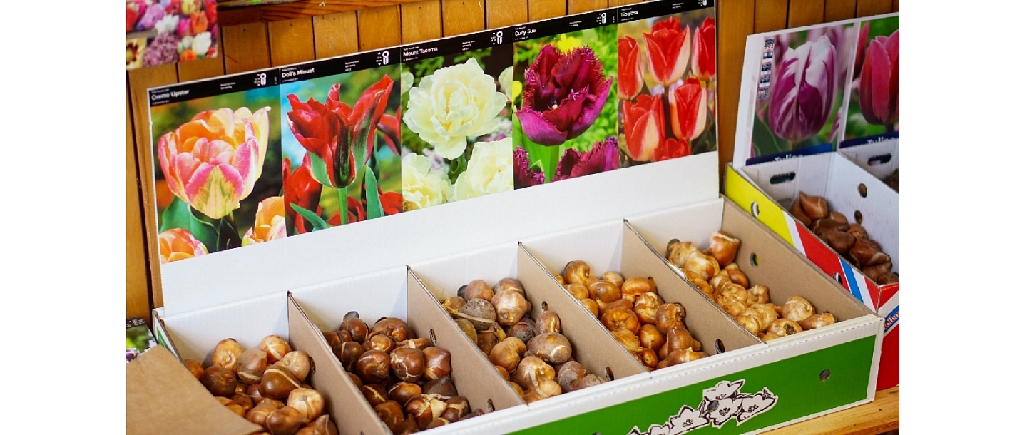 Flower shop "Bouquet"