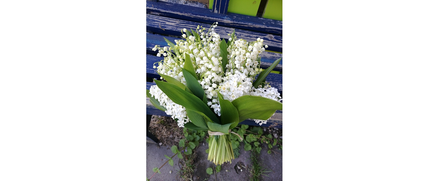 Maijpuķīšu pušķis
