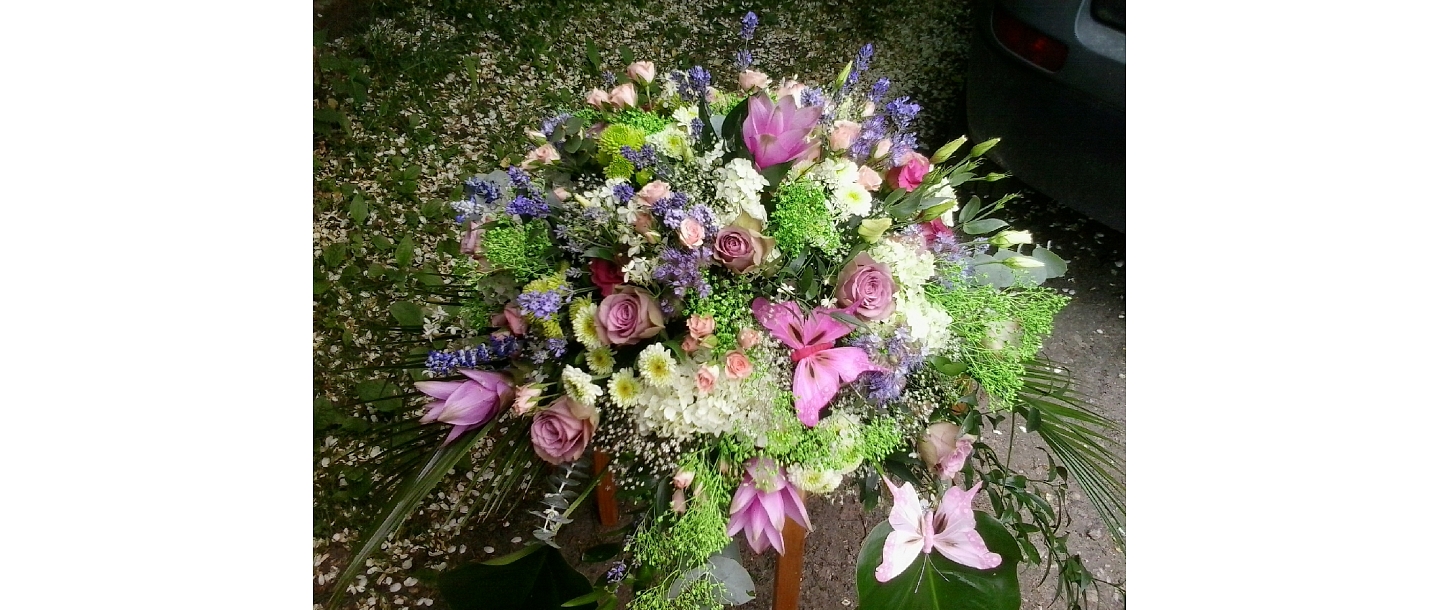 Флористика