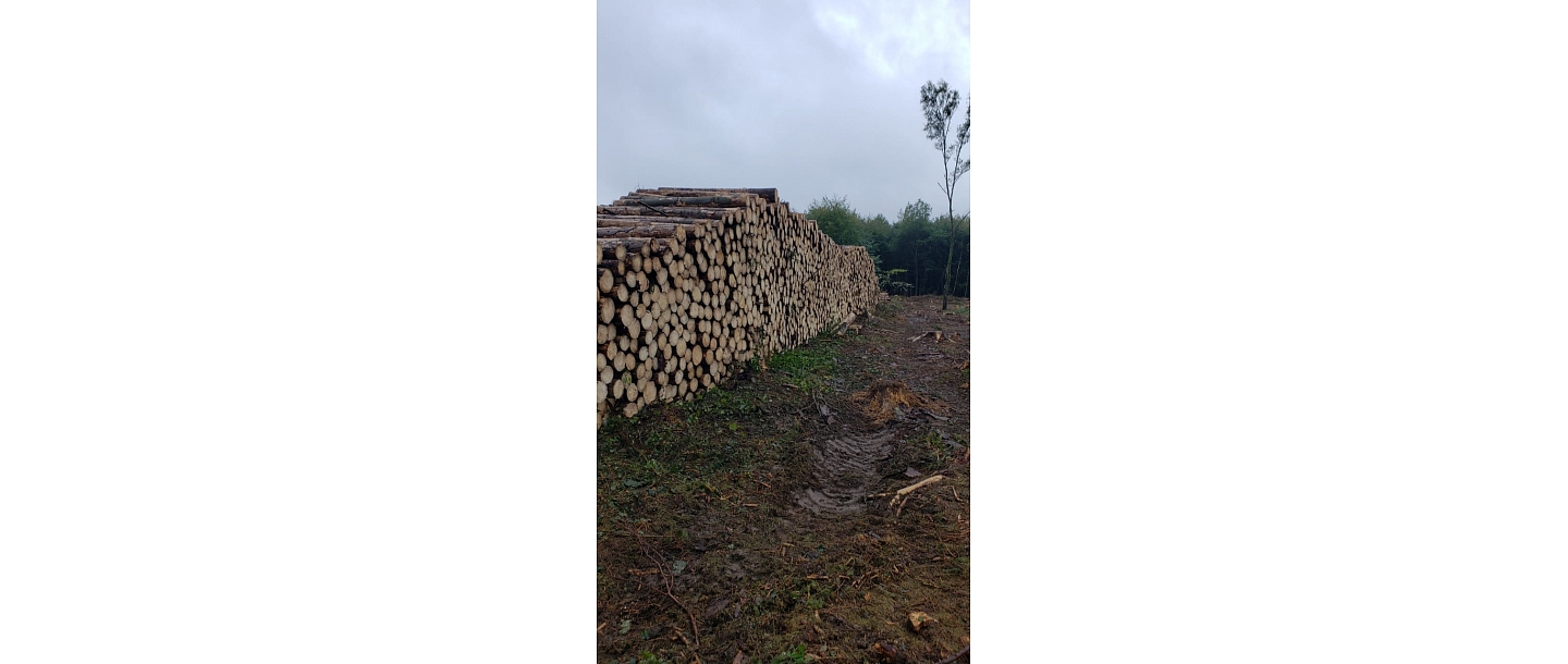 Purchase of round timber, 
Building elements