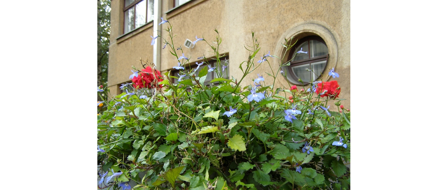 RSU Sarkanā Krusta medicīnas koledža