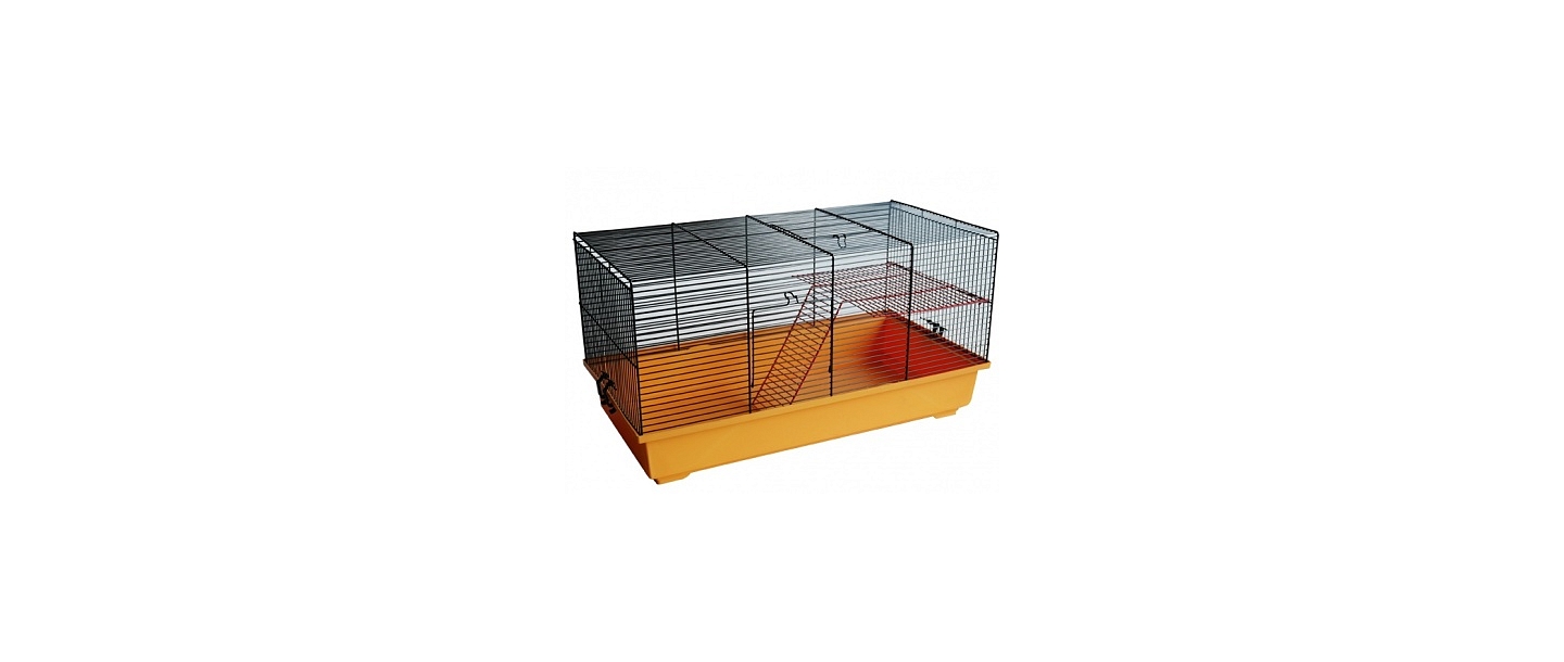 Cages for rodents