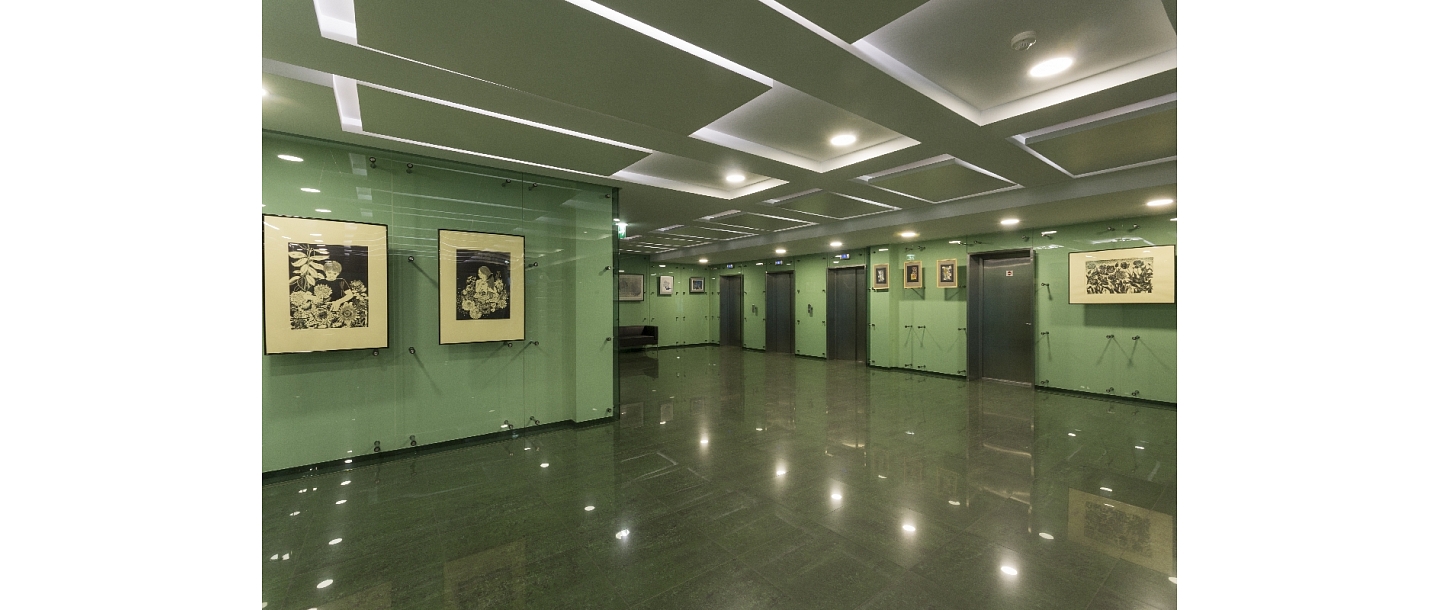 Voldemar, LTD, Office space for rent