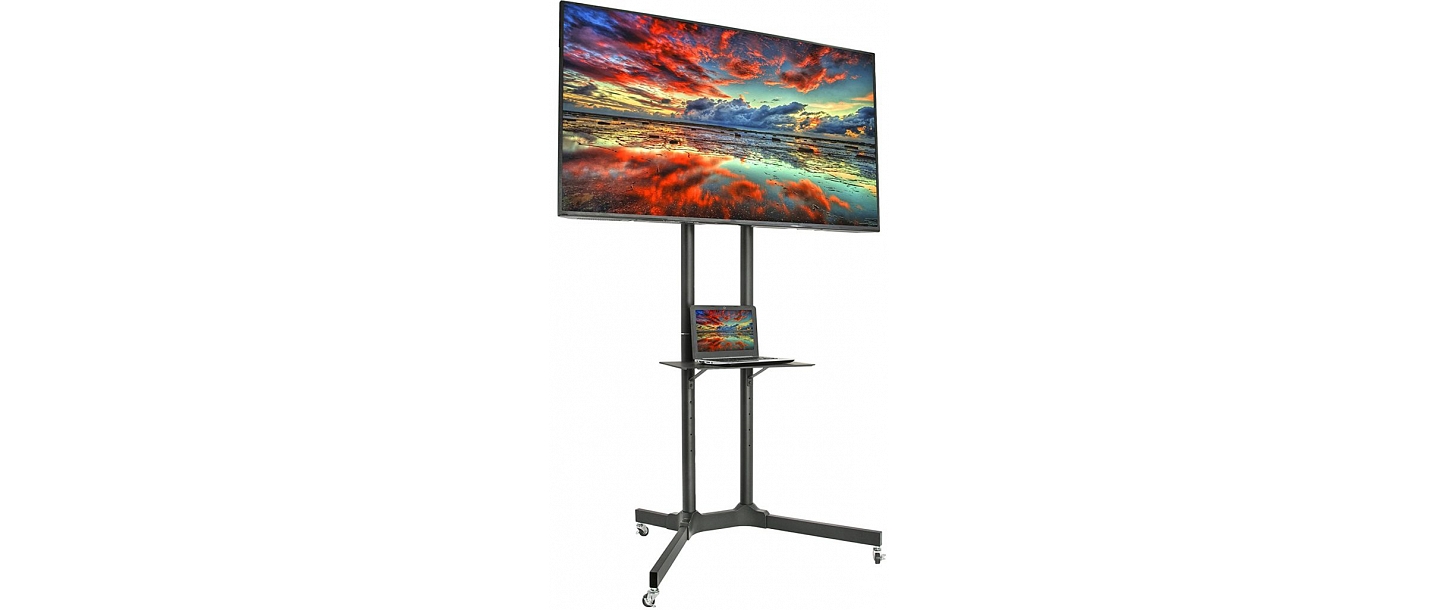Video equipment rental