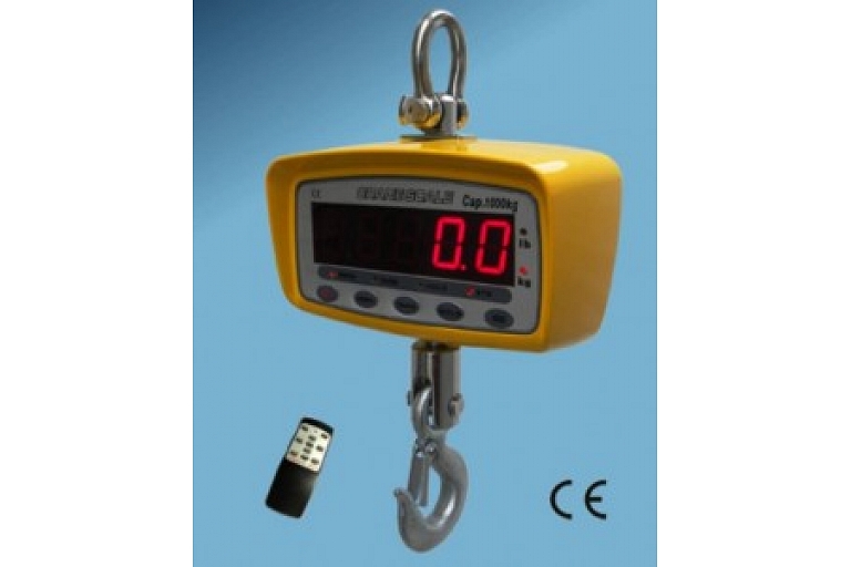 Crane scales