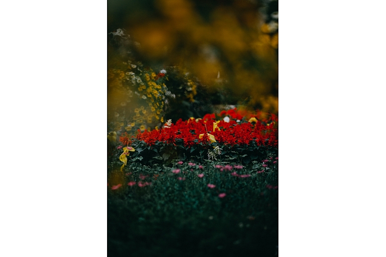 Floristika