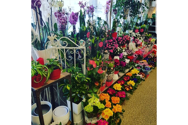 Flowers