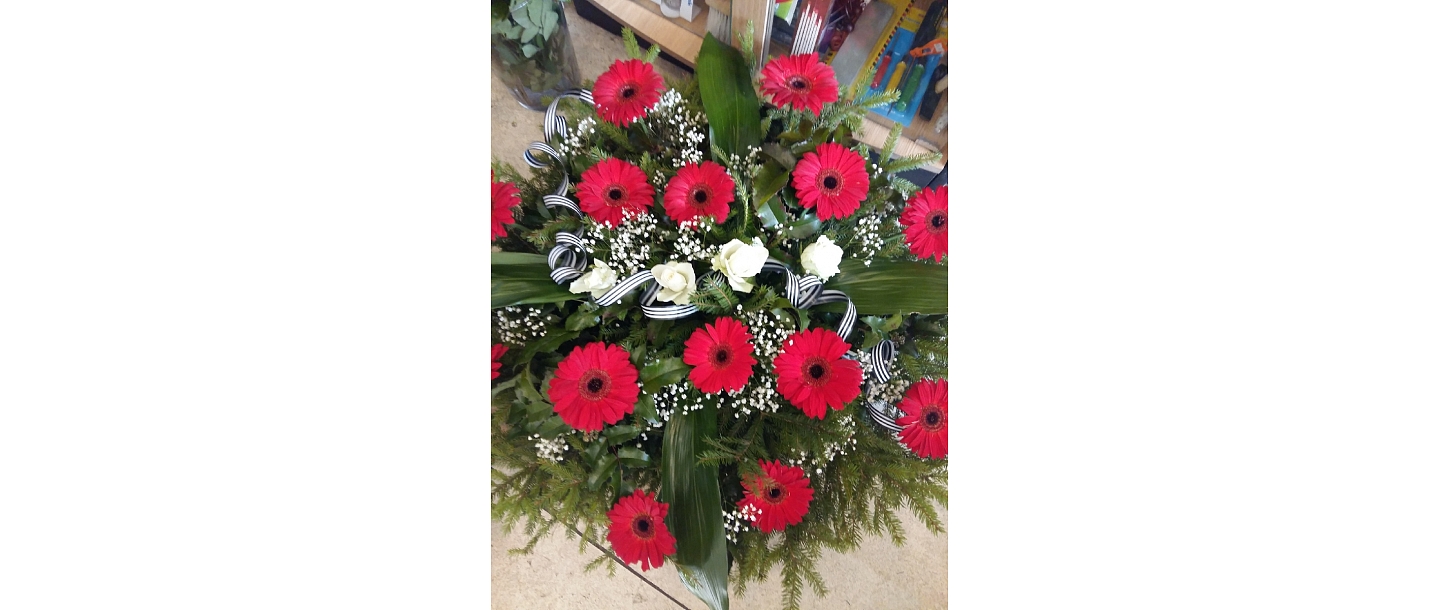 Gerberas