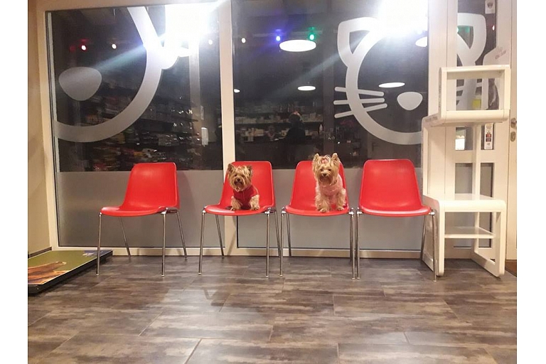 GROBINA VETERINARY CLINIC