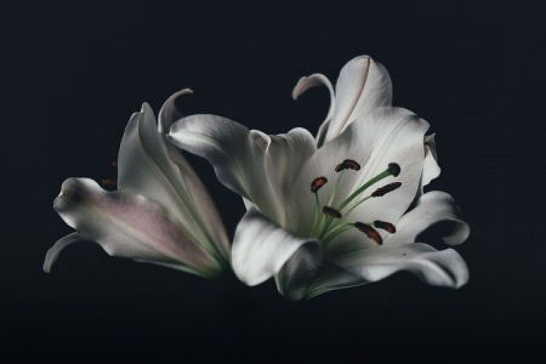 Mourning floristics Bauska
