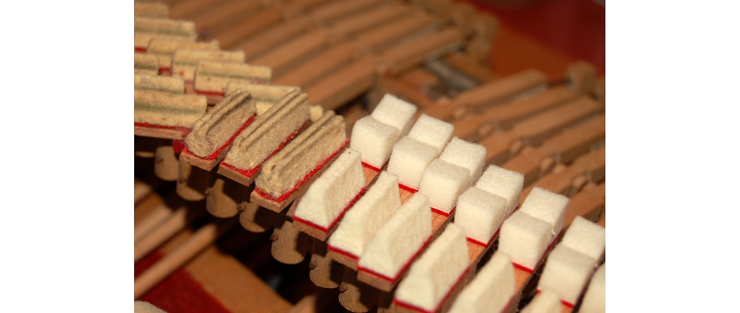 Hammernuss leder polster