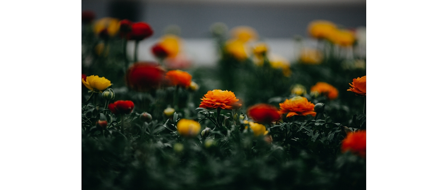 Похоронные венки