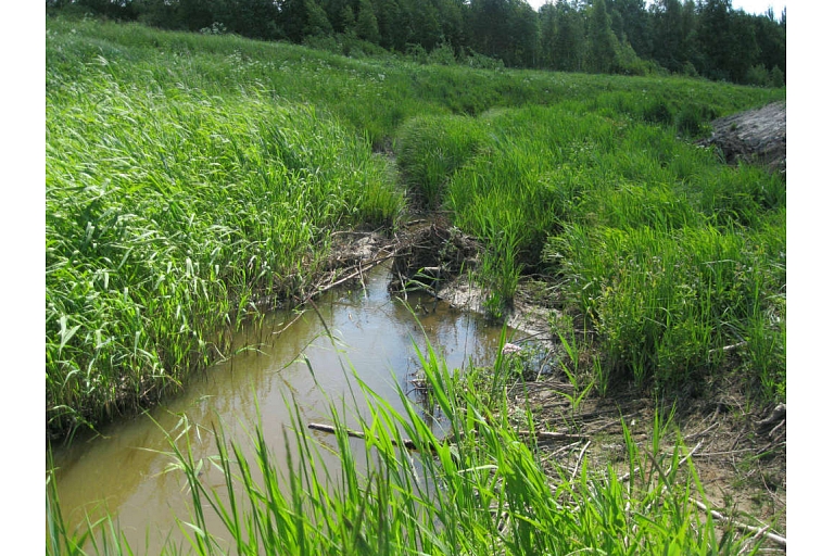 Rehabilitation of Skalde gutters