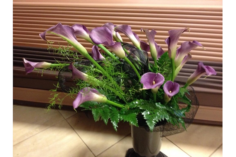 Silence funeral home