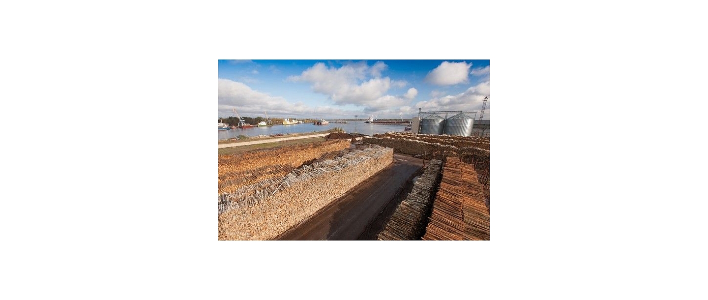 Timber material processing