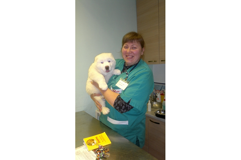 Veterinārā klīnika. Vakcinācija